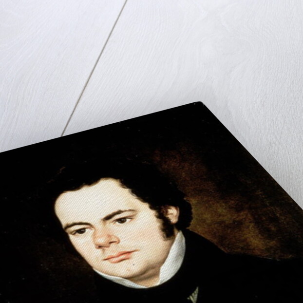 Franz Peter Schubert by Austrian School