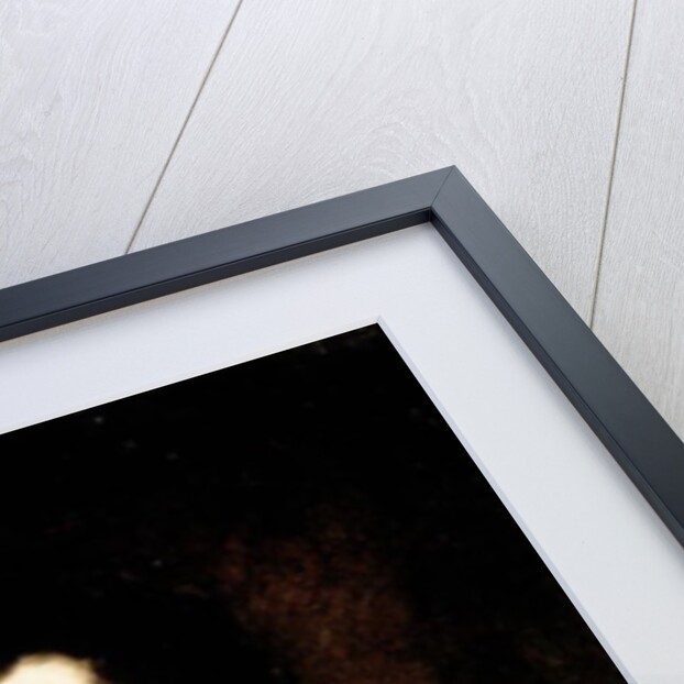 Franz Peter Schubert by Austrian School