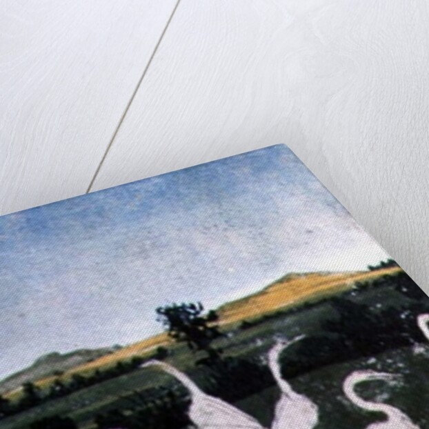 Herons in a field by Konrad Witz