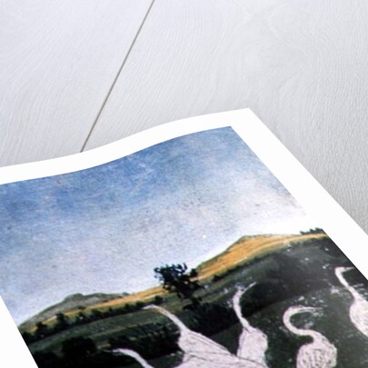 Herons in a field by Konrad Witz