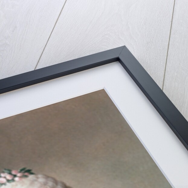 Marie Antoinette, 1762 by Jean-Etienne Liotard