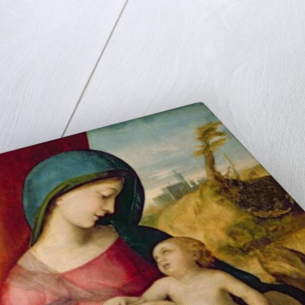 Madonna and Child, 1512-14 by Correggio