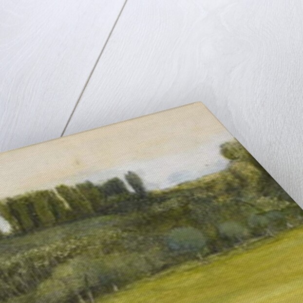 Landscape with Willows and Poplars, Study by Edward Coley Burne-Jones