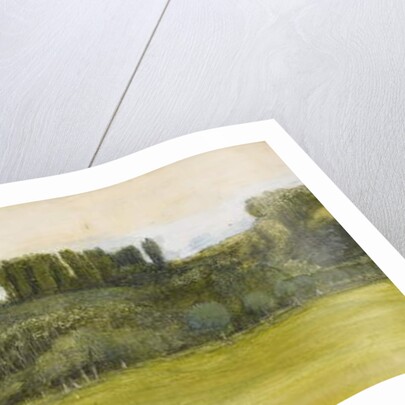 Landscape with Willows and Poplars, Study by Edward Coley Burne-Jones