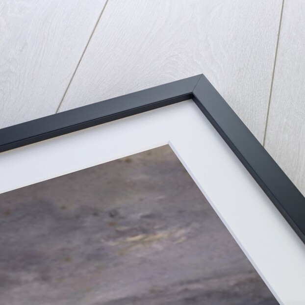 The Night Train by David Cox