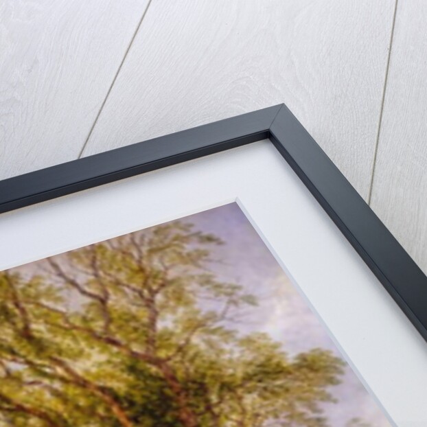 A Glimpse of Wharfdale, Yorkshire, 1835-1886 by Frederick Henry Henshaw