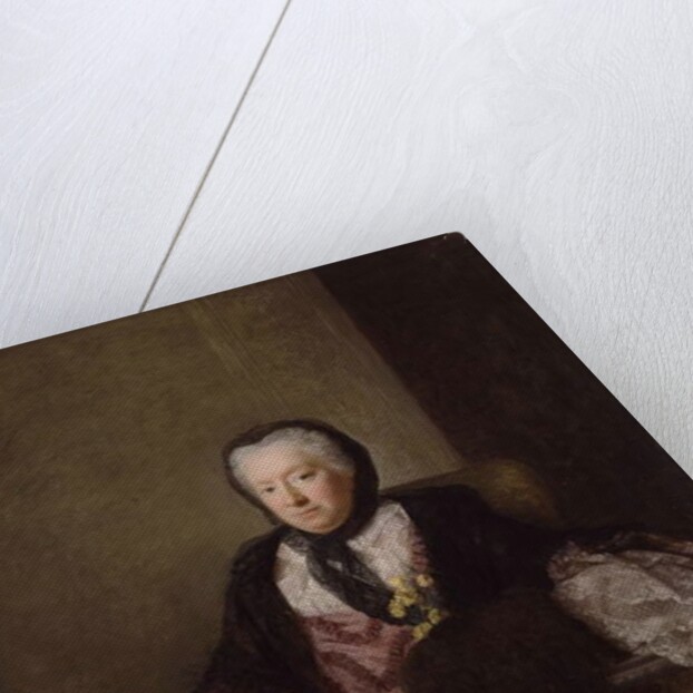 Portrait of Mrs Mary Martin, 1761 by Allan Ramsay