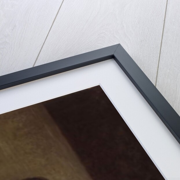 Portrait of Mrs Mary Martin, 1761 by Allan Ramsay