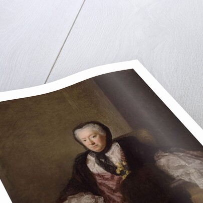 Portrait of Mrs Mary Martin, 1761 by Allan Ramsay