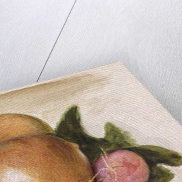 Still-Life - Study of Onions, 1871-75 by Edward Coley Burne-Jones