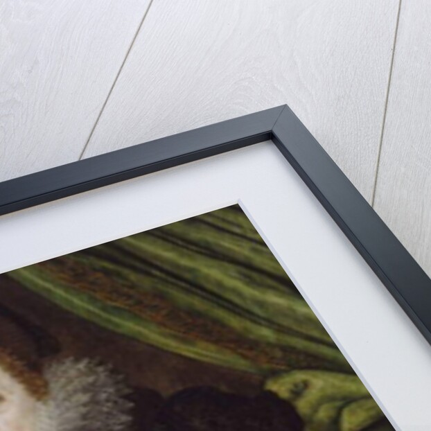 Portrait of a Lady, 1600-1700 by English School