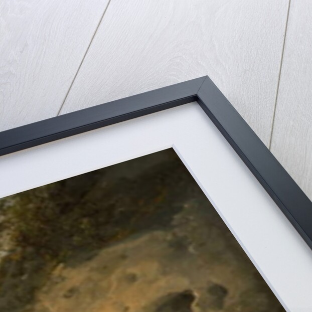 Gypsies with an Ass Race, 1792 by Julius Caesar Ibbetson