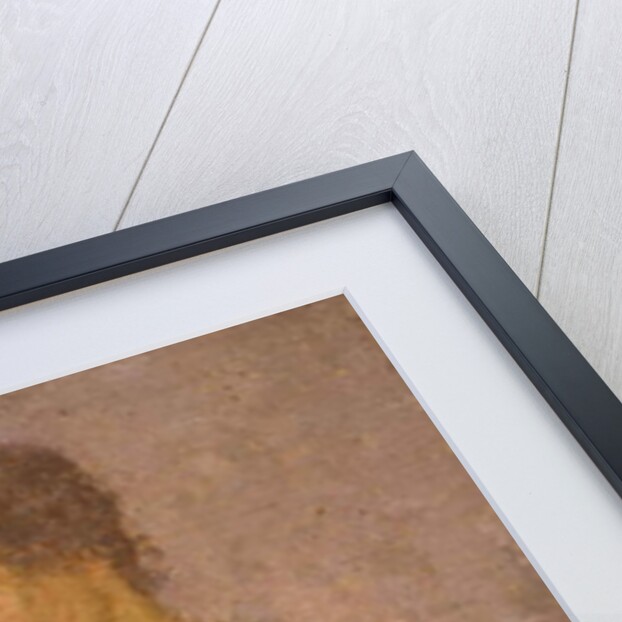 Woman Holding a Flower, 1908-1922 by Gwen John