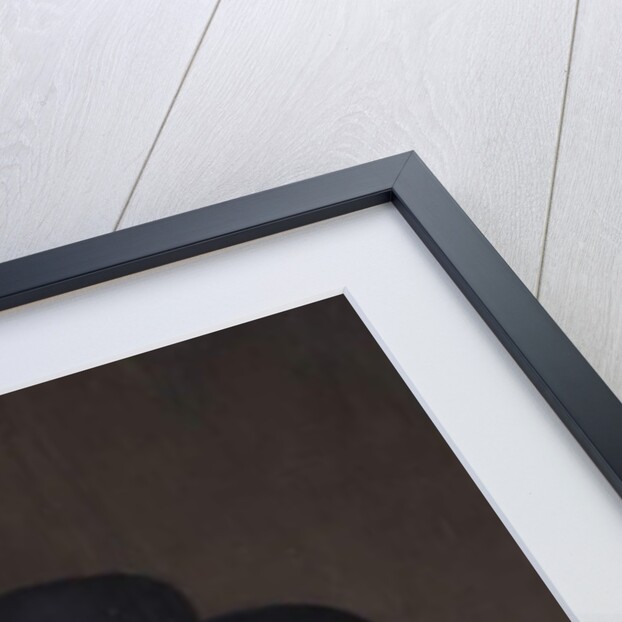 Portrait of Grace Bradbourne, Wife of Thomas Holte, 1627-1700 by Cornelius I Johnson