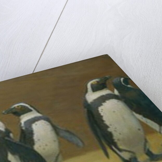 Dominicans in Feathers, 1887 by Henry Stacy Marks