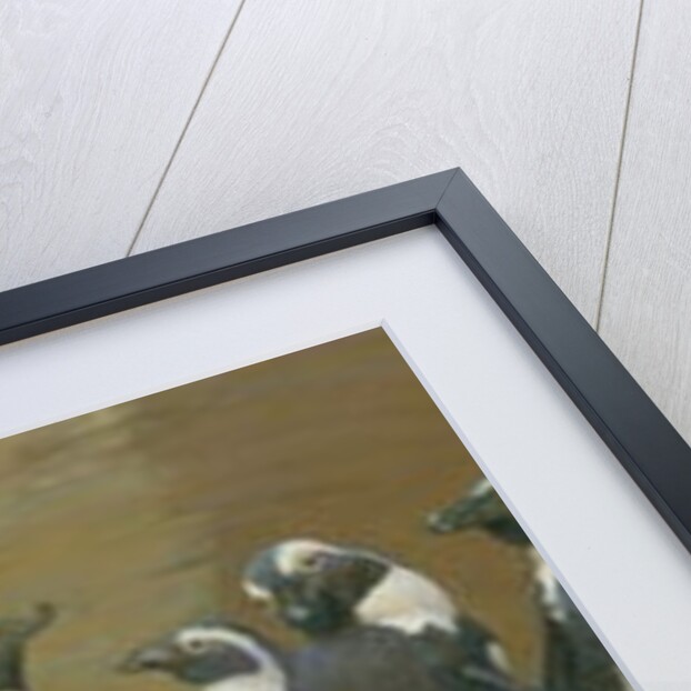 Dominicans in Feathers, 1887 by Henry Stacy Marks