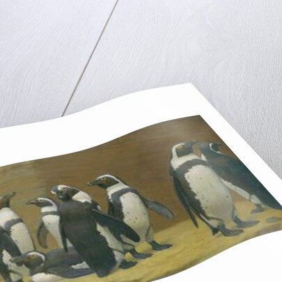 Dominicans in Feathers, 1887 by Henry Stacy Marks