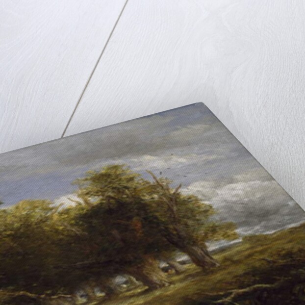 Skirts of the Forest, 1855 by David Cox