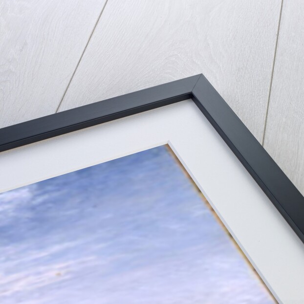 The Skylark, 1849 by David Cox