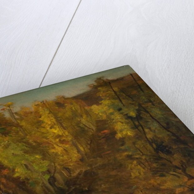 La Vigne, 1860-1863 by Charles Francois Daubigny