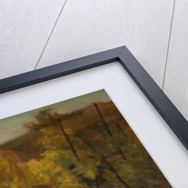 La Vigne, 1860-1863 by Charles Francois Daubigny