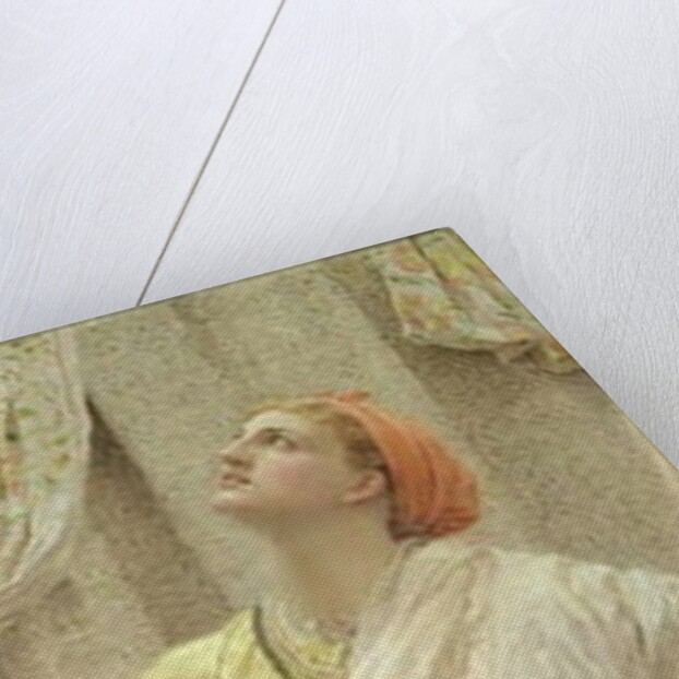 Birds by Albert Joseph Moore