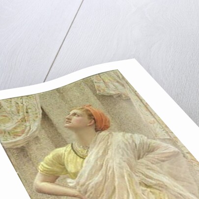 Birds by Albert Joseph Moore