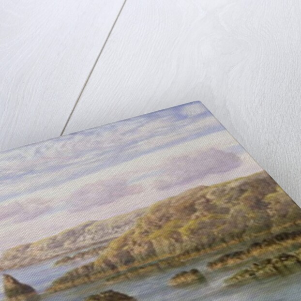 The Southern Coast of Guernsey, 1875 by John Brett