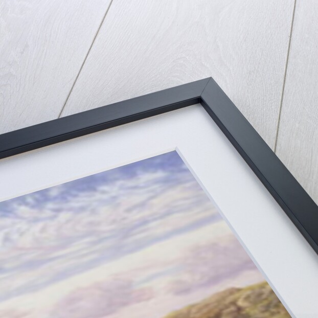 The Southern Coast of Guernsey, 1875 by John Brett