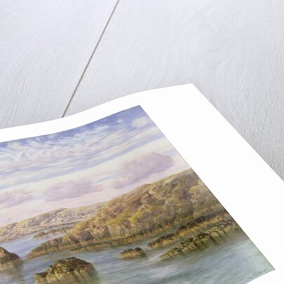 The Southern Coast of Guernsey, 1875 by John Brett