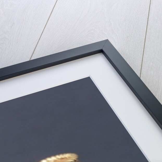 Puebla-style ring by Mixtec Mixtec