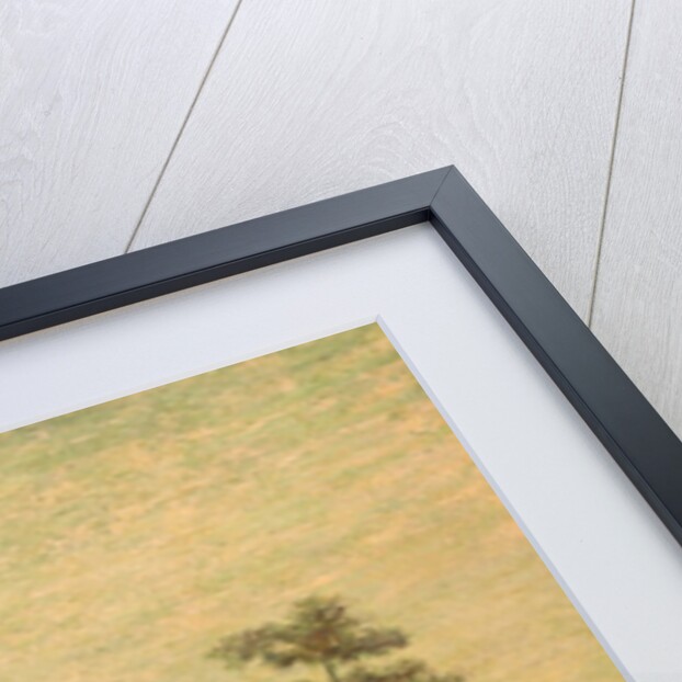 Moonrise by Albert Pinkham Ryder