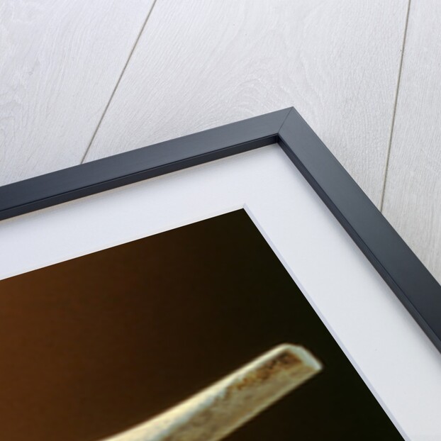 Janus Head, from Cape Dorset by School Inuit