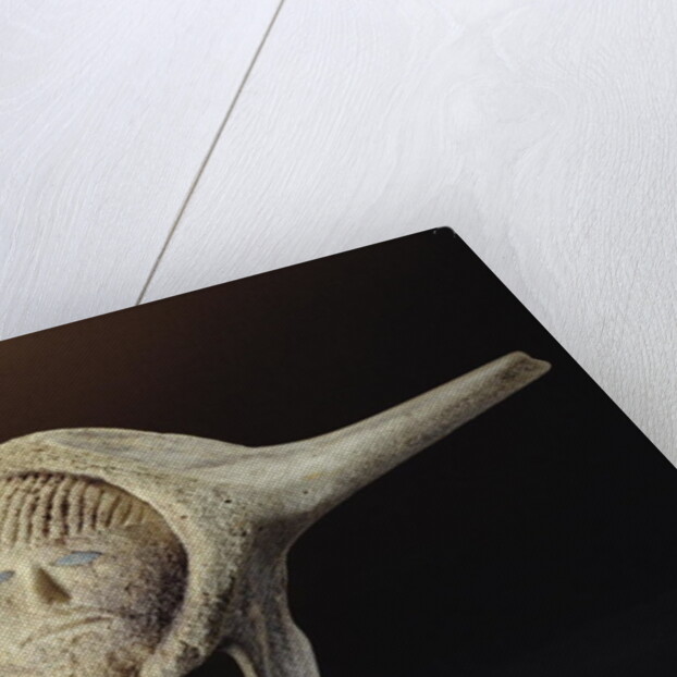 Janus Head, from Cape Dorset by School Inuit