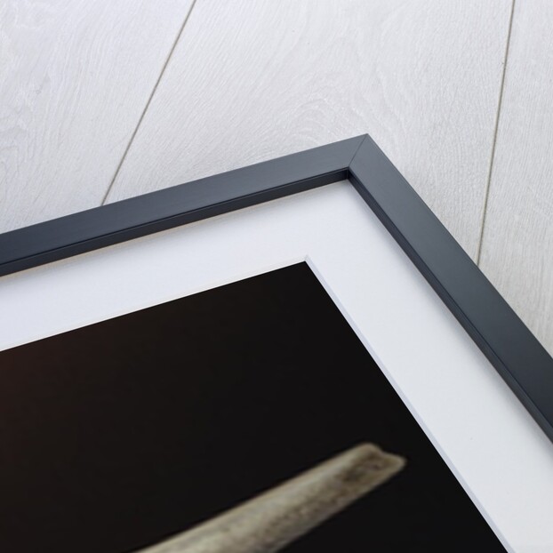 Janus Head, from Cape Dorset by School Inuit