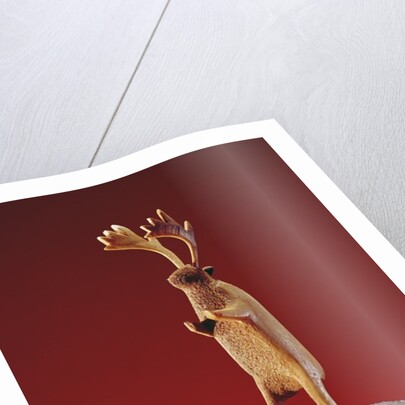 Reindeer, from Cape Dorset by School Inuit