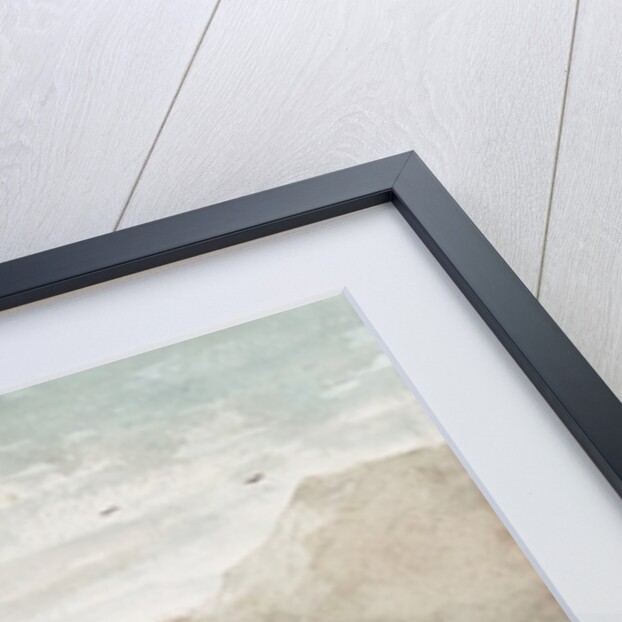 Boys on the Beach by Winslow Homer