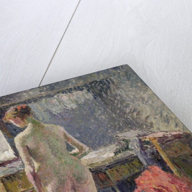 Female Nude seen from the Back, 1895 by Camille Pissarro