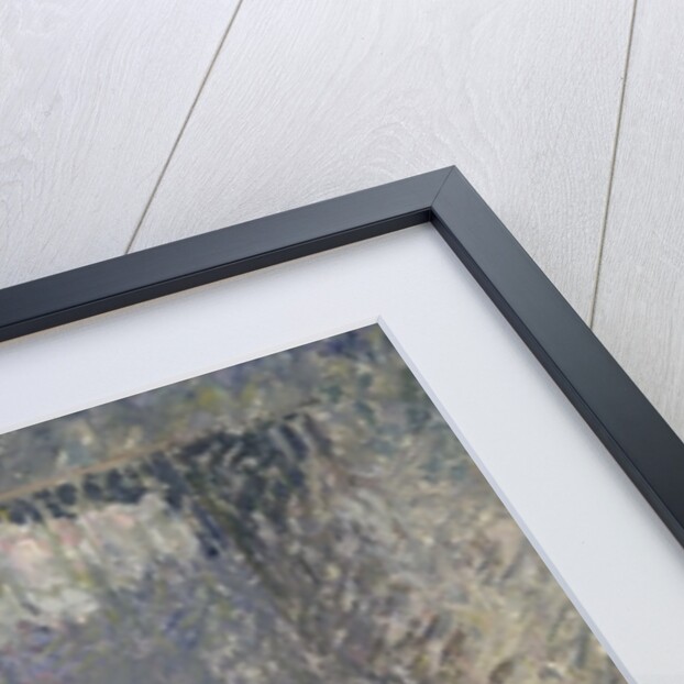 Female Nude seen from the Back, 1895 by Camille Pissarro