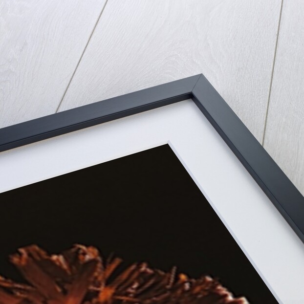 A Seneca mask used in winter rites by American School