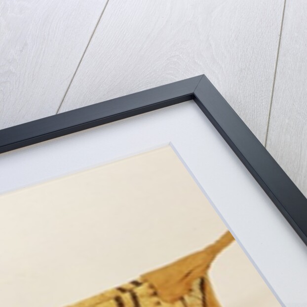 Hupa jump dance basket, from North Carolina by School American