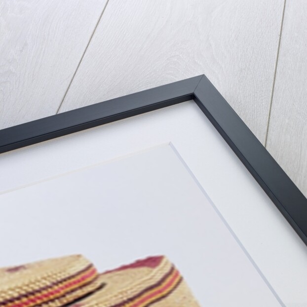 Salish basket depicting birds by School American