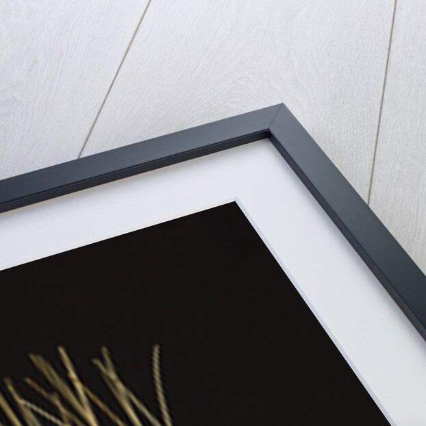 Haida or Tinglit mask by School Canadian