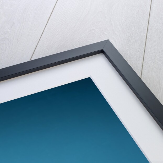 Inuit shore bird sculptures by School Inuit