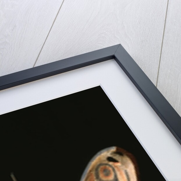 Kwakiutl transformation mask by American School