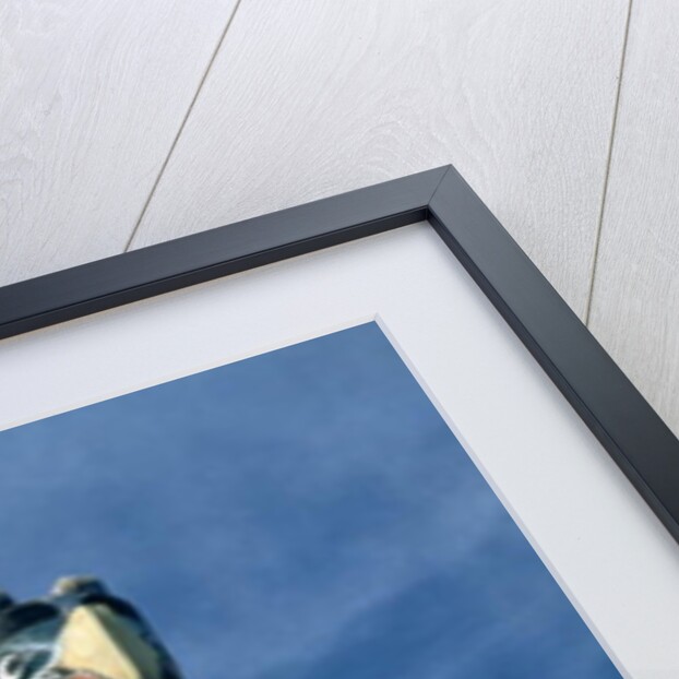 Haida Eagle clan totem pole by School Canadian