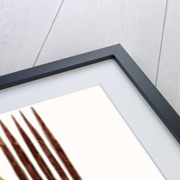 Inuit combs by School Inuit