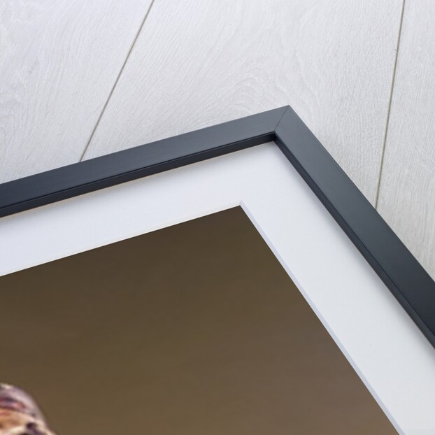 Tinglit Bird Clan totem pole by American School