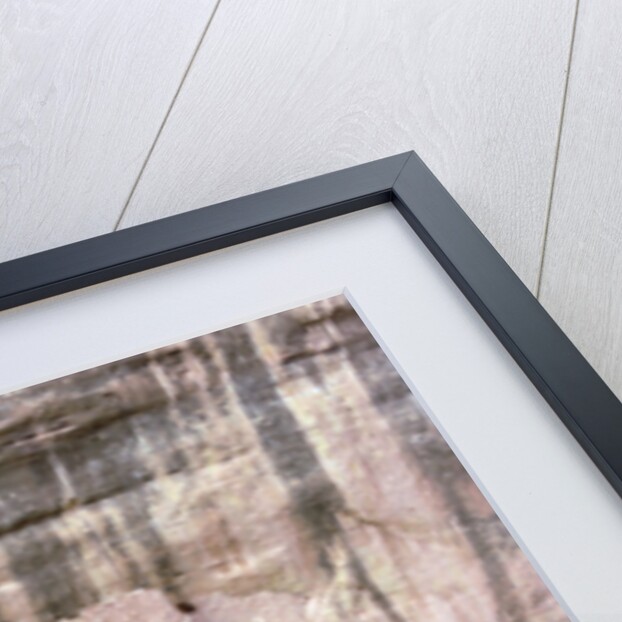 Remains of Pueblo Indian cliff dwellings, built 11th-14th century by Anonymous