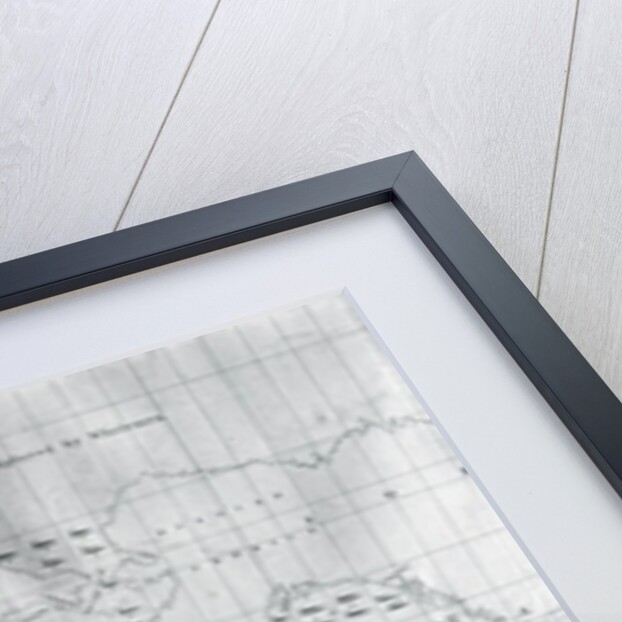 Whale Chart of the North Pacific, 1851 by American School